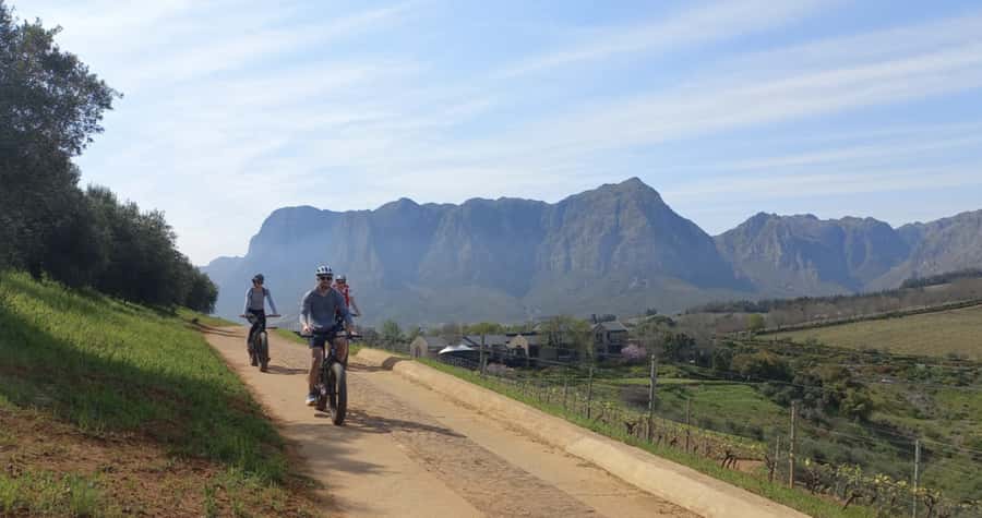 Franschhoek: E-Bike & Wine Tour (Shared Tour) - The best parts of the scenery