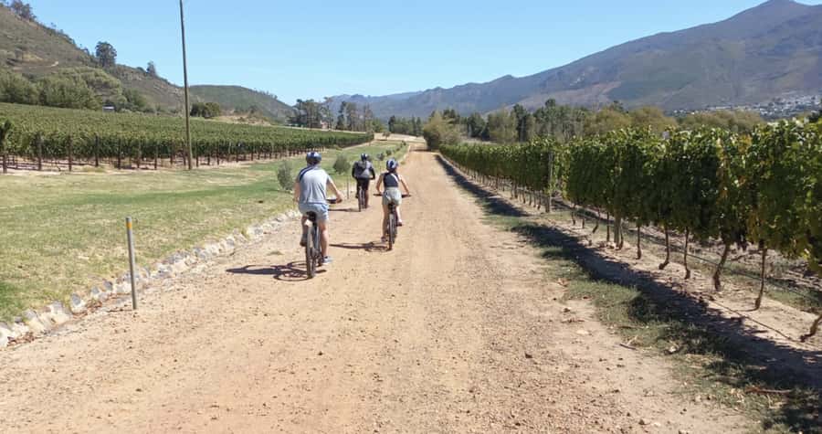 Franschhoek: E-Bike & Wine Tour (Shared Tour) - Who will enjoy this tour most