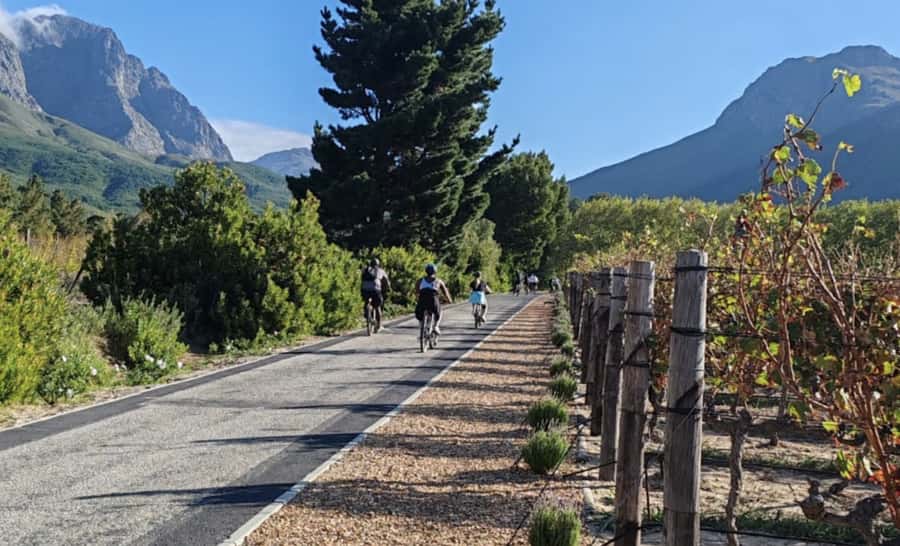 Franschhoek: E-Bike & Wine Tour (Shared Tour) - What the electric bike changes