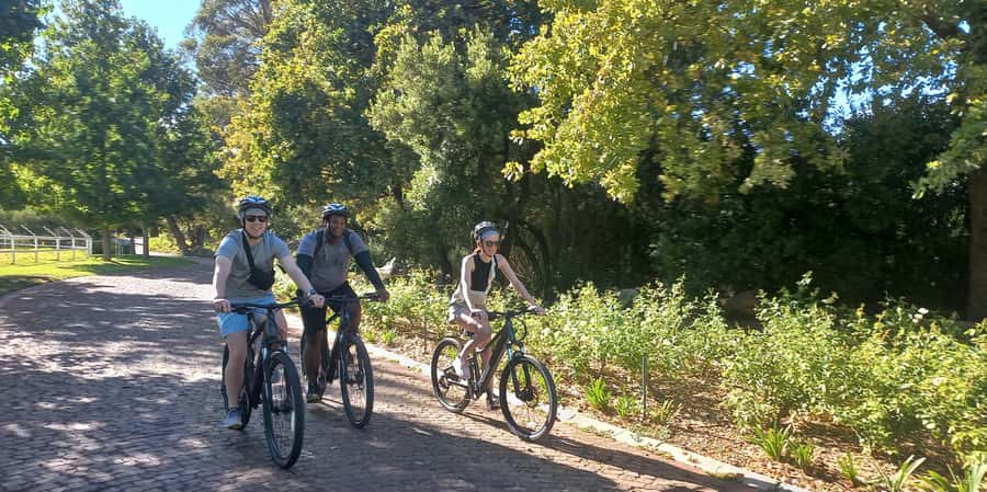 Franschhoek E-Bike & Wine Tour - Starting at Old Road Wine Co.