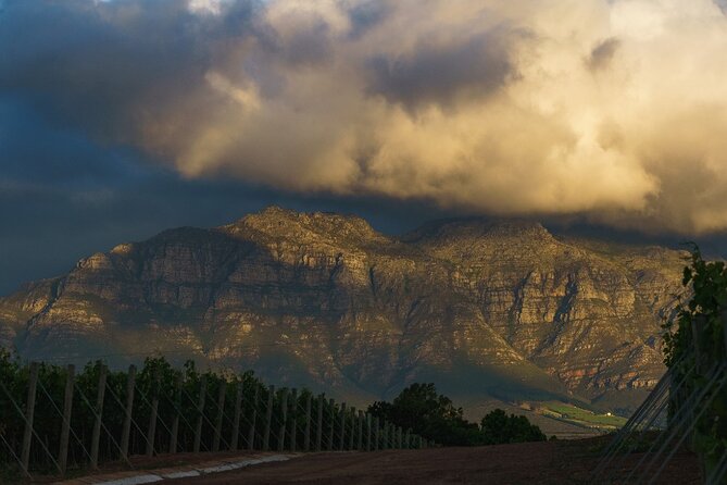 Franschhoek Family Cycle Tour - Family features are practical, not just promotional