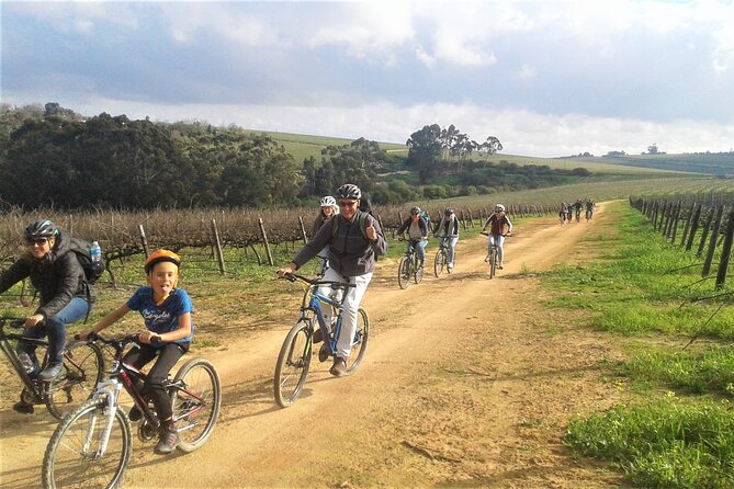 Franschhoek Family Cycle Tour - La Bri brings the most distinctive pairing
