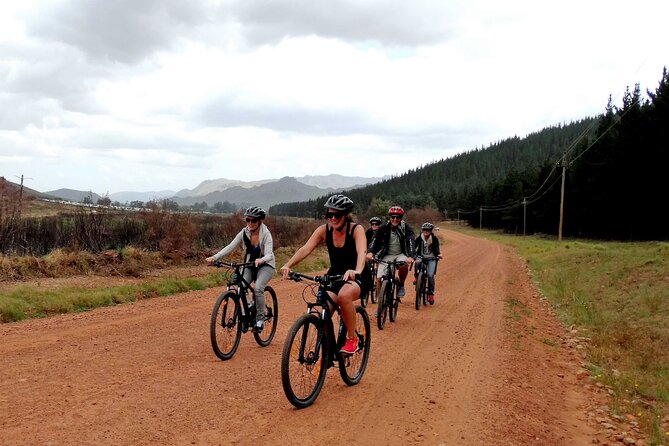 Franschhoek Half Day Winelands Mountain Bike Tour - Key Points Before You Book
