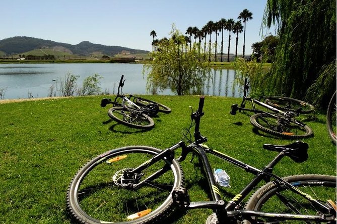Franschhoek Half Day Winelands Mountain Bike Tour - Starting at Rickety Bridge