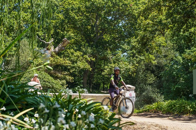 Franschhoek Half Day Winelands Mountain Bike Tour - The Wine and Food Pairing at La Bri