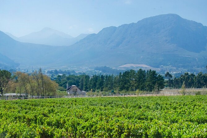 Franschhoek Half Day Winelands Mountain Bike Tour - What the Price Includes at $79.93