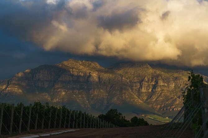 Franschhoek Half Day Winelands Mountain Bike Tour - Who Should Book This Tour