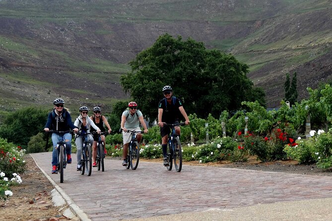 Franschhoek Half Day Winelands Mountain Bike Tour - Should You Book the Franschhoek Bike and Wine Tour?