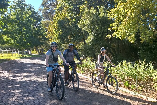 Franschhoek Shared E-Bike and Wine Tour - Key points at a glance