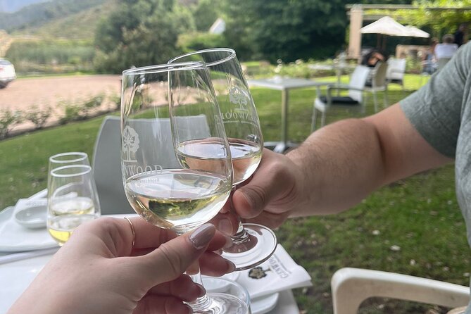 Franschhoek Shared E-Bike and Wine Tour - Why an e-bike is the right way to see Franschhoek