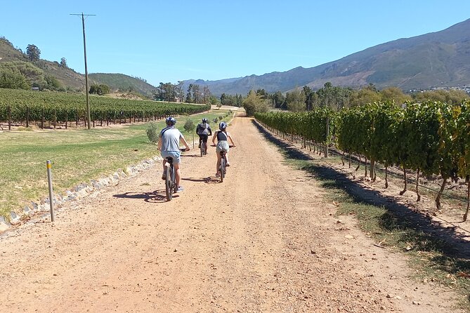 Franschhoek Shared E-Bike and Wine Tour - Riding through the vineyard roads