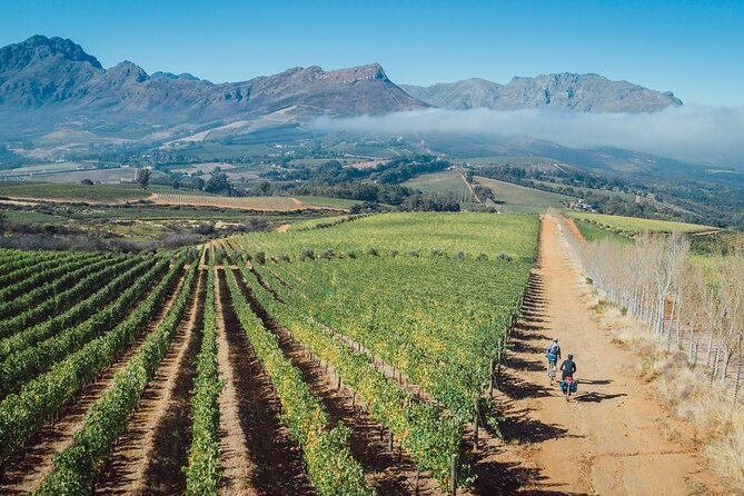 Franschhoek Sip & Cycle Experience Full Day - Private Tour - Guides Skeezo and Melo