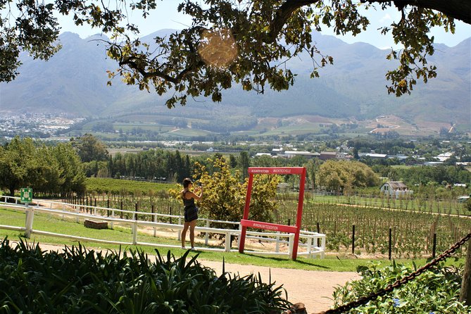 Franschhoek Sip & Cycle Experience Full Day - Private Tour - Riding the quiet vineyard roads