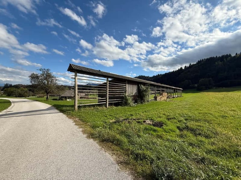 From Bled: Self Guided E-Bike Trip to Triglav National Park - Alpine villages, farms, and Slovenian character