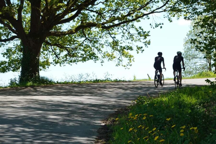 From Brussels to Flanders 100km road cycling tour - The Muur van Geraardsbergen, cycling’s defining test