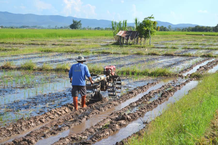 From Chiang Mai: 2 days Cycling & Kayaking tour in Mae Taeng - The lake paddle and the choice after lunch