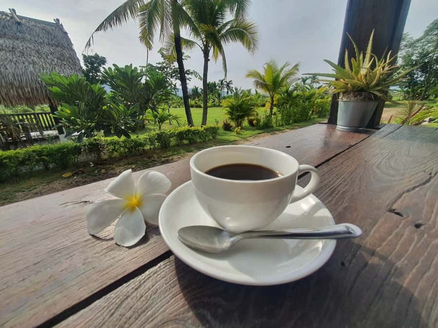 From Chiang Mai: 2 days Cycling & Kayaking tour in Mae Taeng - The return to Chiang Mai