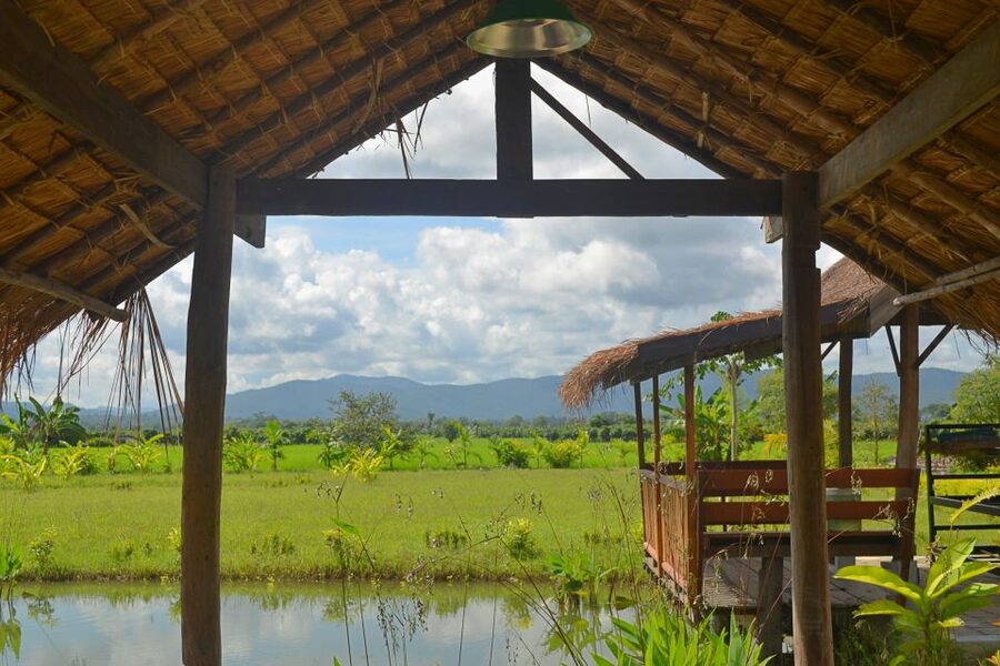 From Chiang Mai: Mae Taeng Valley and Waterfalls Cycle Tour - Learning how rice farming shapes village life
