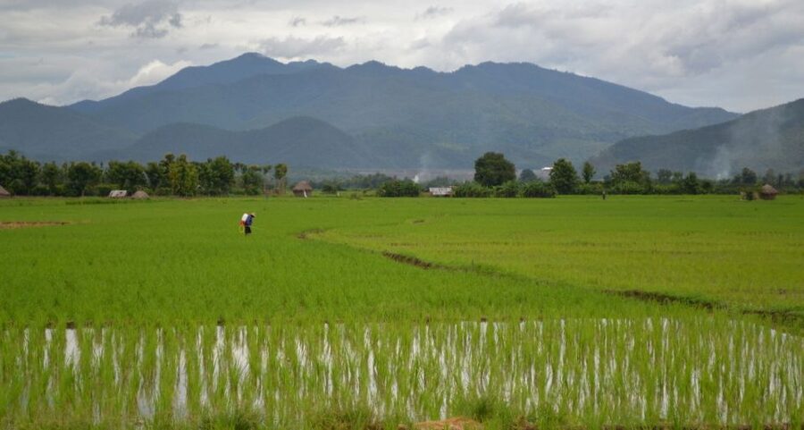 From Chiang Mai: Mae Taeng Valley and Waterfalls Cycle Tour - How difficult is the 20 to 25 kilometer ride?