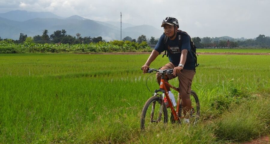 From Chiang Mai: Mae Taeng Valley and Waterfalls Cycle Tour - Is the $73 price good value?