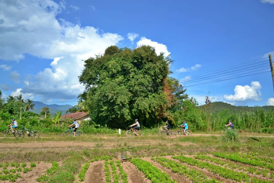 From Chiang Mai: Mae Taeng Valley Hike & Bike Day Trip - Who gets the best value for $83