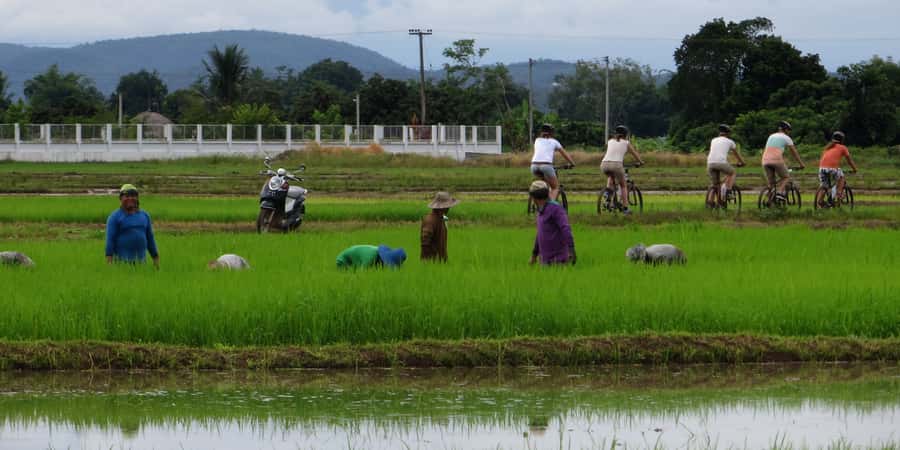 From Chiang Mai: Mae Taeng Valley Hike & Bike Day Trip - Three hours on hill trails near Mae Taeng
