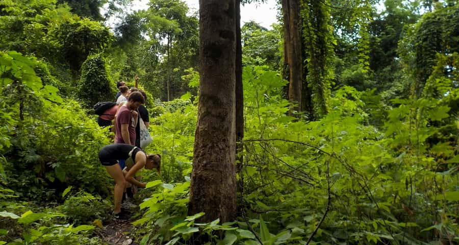 From Chiang Mai: Mae Taeng Valley Hike & Bike Day Trip - What the day feels like physically
