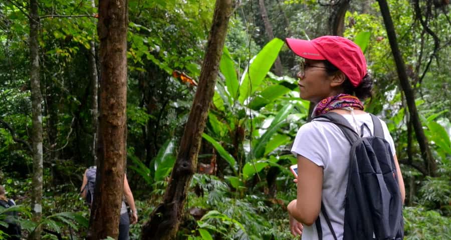 From Chiang Mai: Mae Taeng Valley Hike & Bike Day Trip - The 90-minute ride out from Chiang Mai