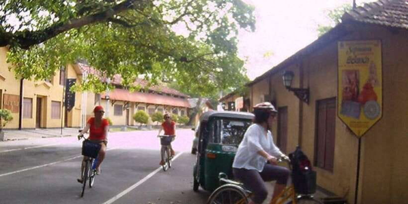 From Galle: Exclusive Village & Lagoon Cycling Tour in Galle - Mangroves, fields, and a lagoon for birdwatching