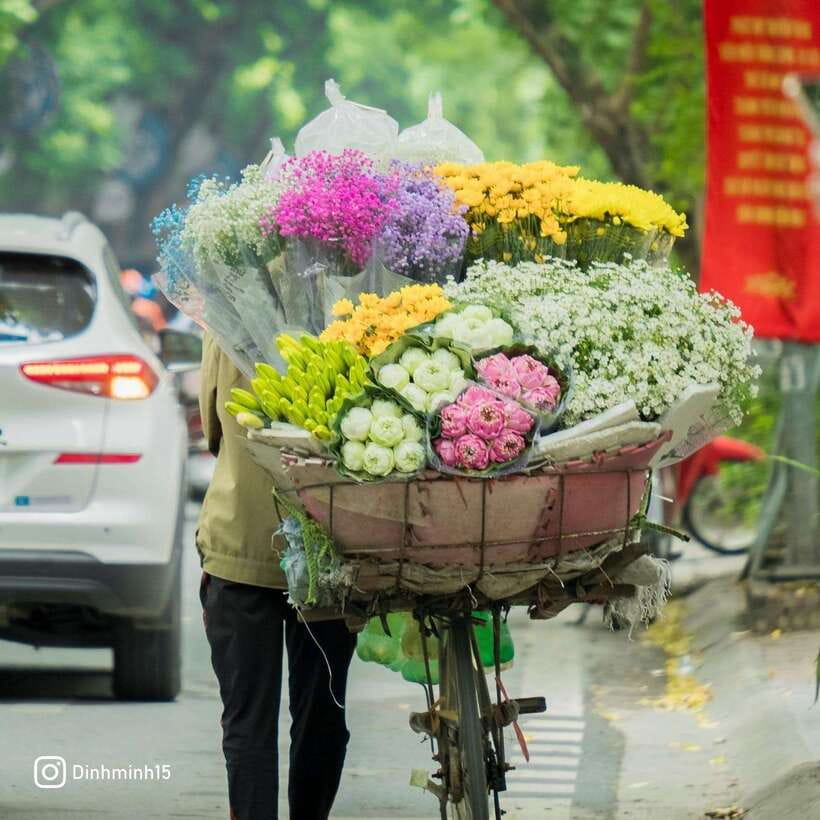 From Hanoi: City Sightseeing Cycling Panoramic Tour By Cyclo - Sword Lake and Ngoc Son Temple