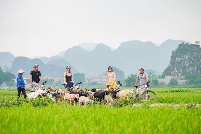 From Hanoi: Hoa Lu - Tam Coc boating - Cycling & Mua Cave visit - Key points to know before booking