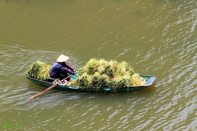 From Hanoi: Hoa Lu - Tam Coc boating - Cycling & Mua Cave visit - Vietnamese buffet lunch: useful, not the main attraction