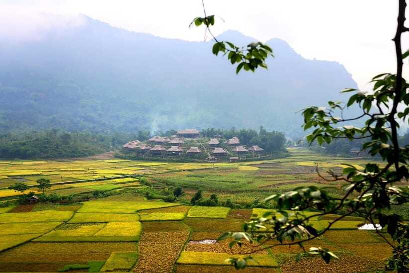 From Hanoi: Mai Chau Valley Day Trip with Cycling - Cycling the rice fields between Pom Coong and Na Phon