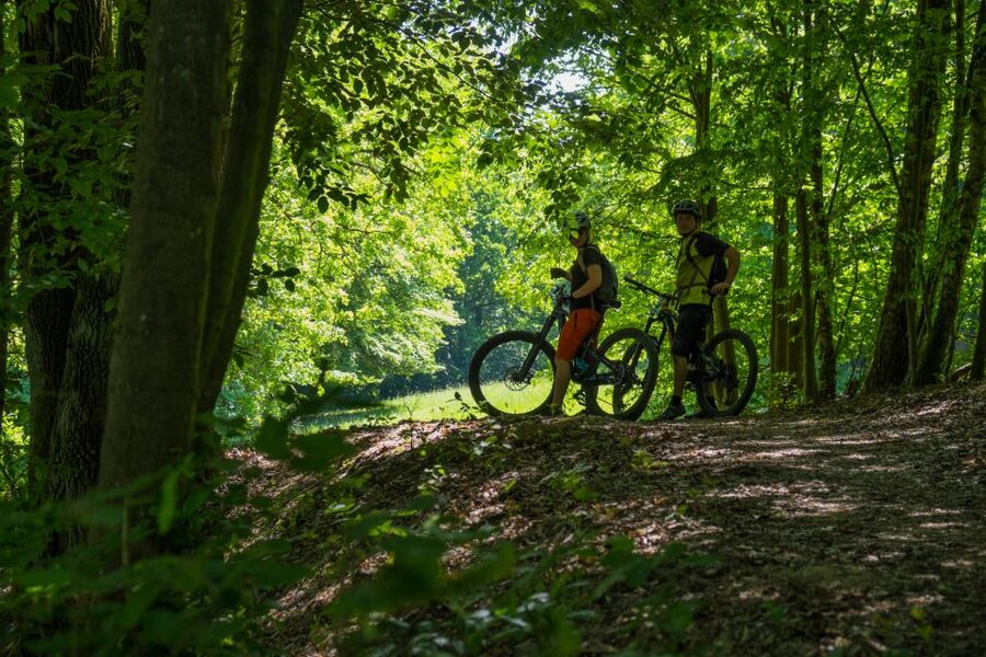 From Prague: E-Mountain Biking Trip to the Bohemian Paradise - Who should book this ride?