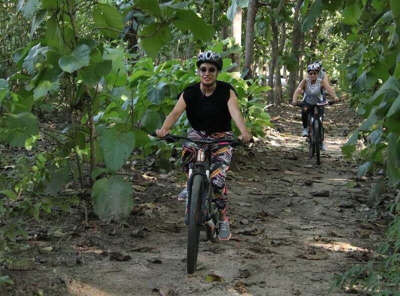 From Puerto Vallarta: Jungle Mountain Bike Tour - Riding through forest, pasture, and mountain views