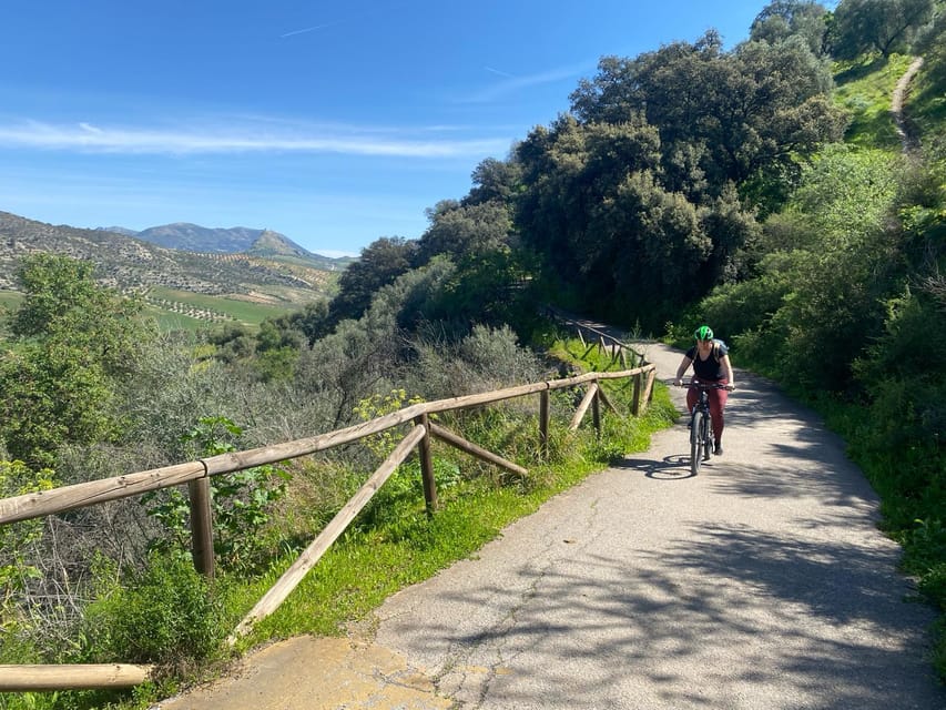 From Ronda: Via Verde de la Sierra Easy Cycling Tour - The return to Ronda from Puerto Serrano