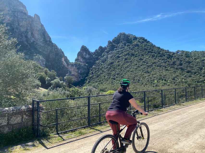 From Ronda: Via Verde de la Sierra Easy Cycling Tour - Olive groves, farmland, and wide Sierra views