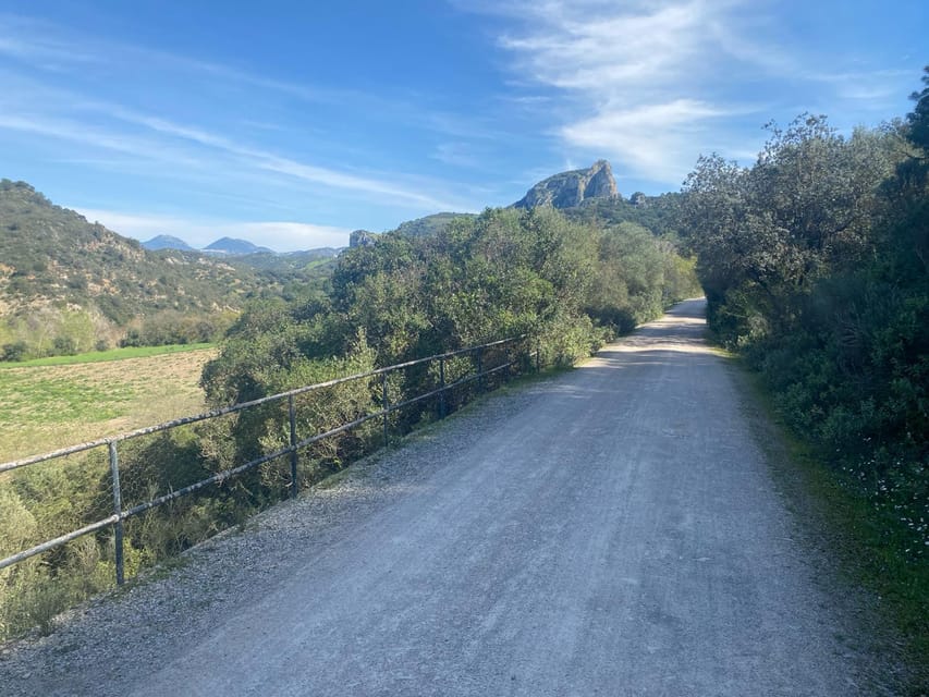 From Ronda: Via Verde de la Sierra Easy Cycling Tour - Old stations turn the ride into a day out