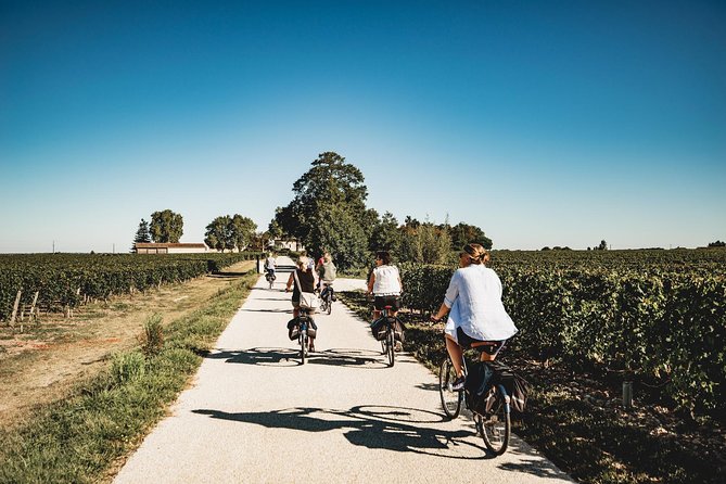 From Saint-Emilion : Electric Bike Day Tour with Wine Tastings and Picnic Lunch - Why an electric bike is the right tool here