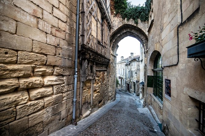 From Saint-Emilion : Electric Bike Day Tour with Wine Tastings and Picnic Lunch - Who will enjoy this day most