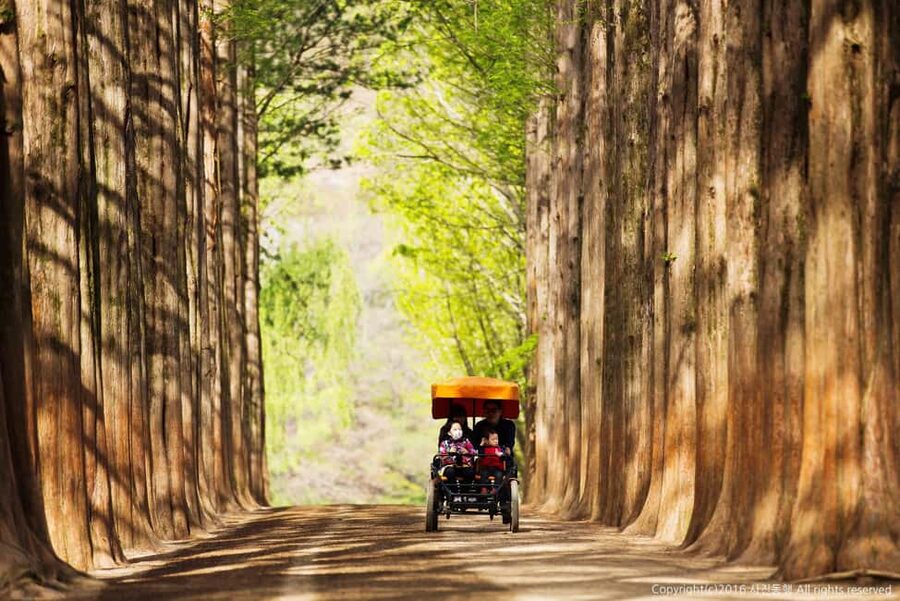 From Seoul: Nami Island, K-drama Garden & Rail Bike Day Tour - Should you book it?