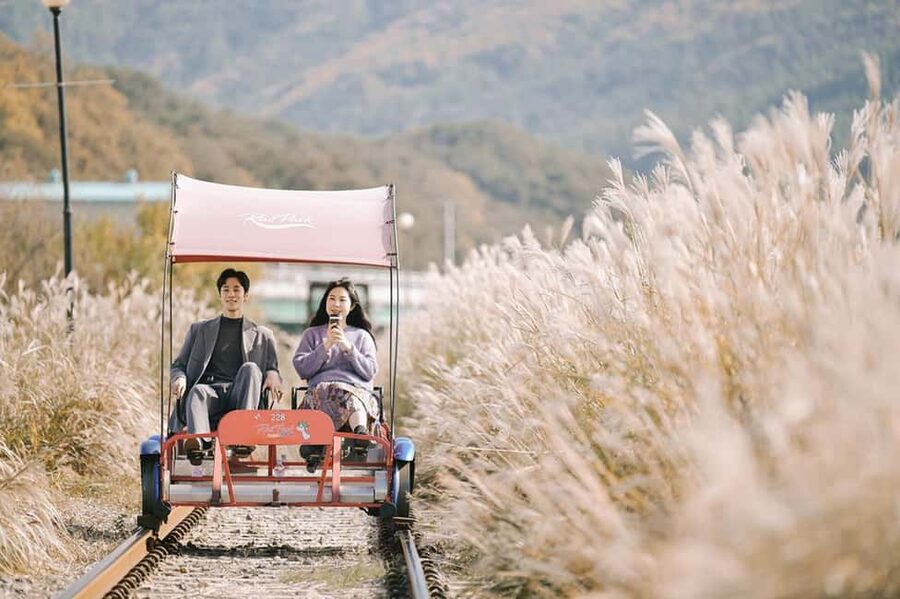 From Seoul: Nami Island, K-drama Garden & Rail Bike Day Tour - Nami Island: romantic paths with a K-drama reputation