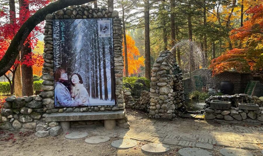 From Seoul: Nami Island, K-drama Garden & Rail Bike Day Tour - Who should book this day trip?