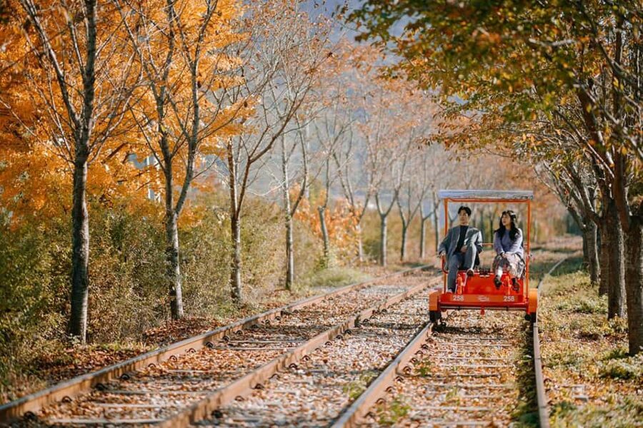 From Seoul: Nami Island, K-drama Garden & Rail Bike Day Tour - Garden of Morning Calm: flowers, paths, and quiet corners