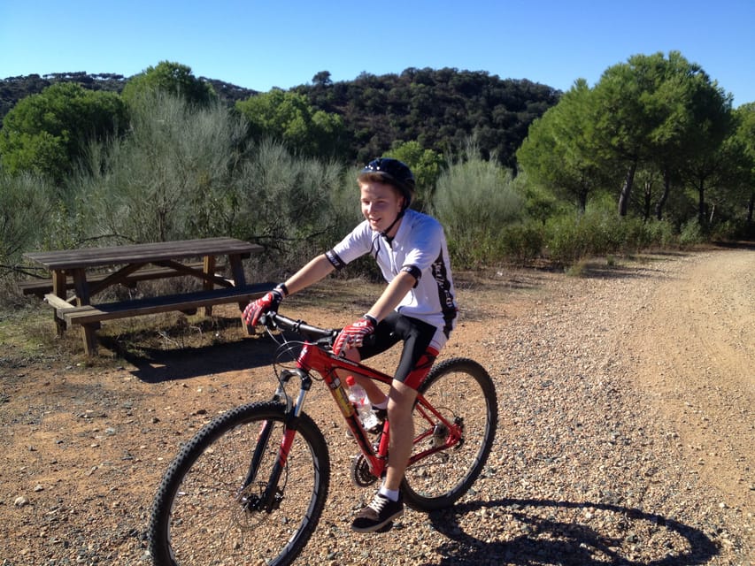 From Seville: Half-Day Guided Bike Trip to Italica - Guide Quality and the Value of Storytelling
