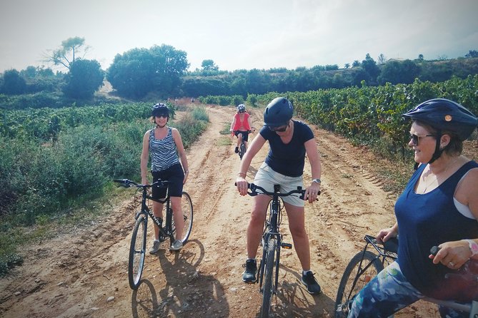 From Sitges: Bike Tour and Winery Visit with Free Hotel Pick Up. - Who will get the most from this morning