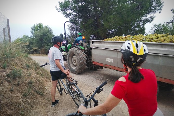 From Sitges: Bike Tour and Winery Visit with Free Hotel Pick Up. - Booking details, group size, and cancellation