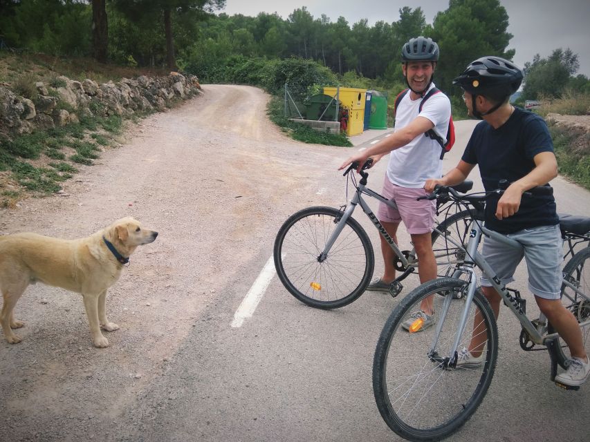 From Sitges: Cycling Tour with Winery visit and Tasting - Who should book this cycling and cava day