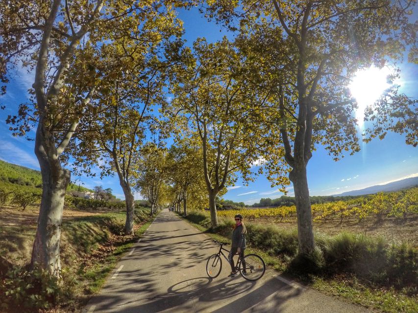 From Sitges: Paella Masterclass, Bike Ride and Winery Visit - Inside a winery with nine generations of family knowledge