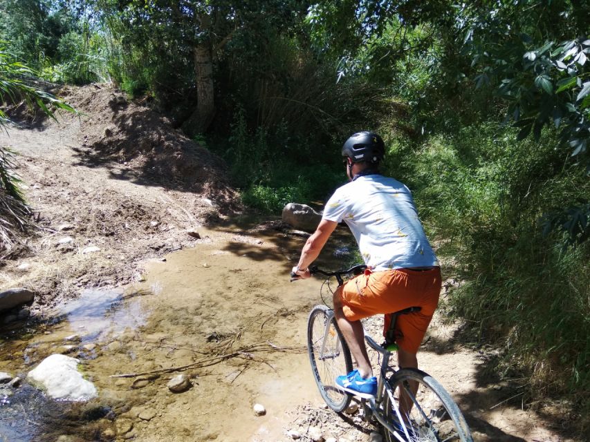 From Sitges: Paella Masterclass, Bike Ride and Winery Visit - Should you book the Sitges paella and cava tour?